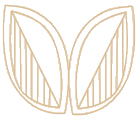 全國(guó)代理